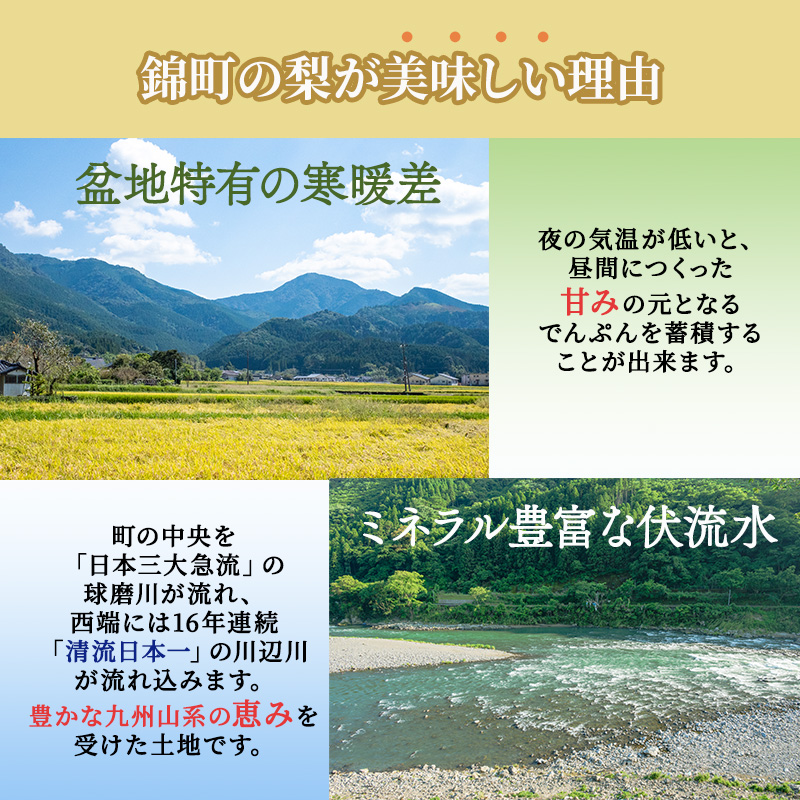 定期便 2回 先行予約 梨 清流錦 豊水 あきづき 新高 かおり 8月 5kg 9月 3kg フルーツ なし ナシ 果物 デザート お楽しみ 2024年発送 配送不可:離島