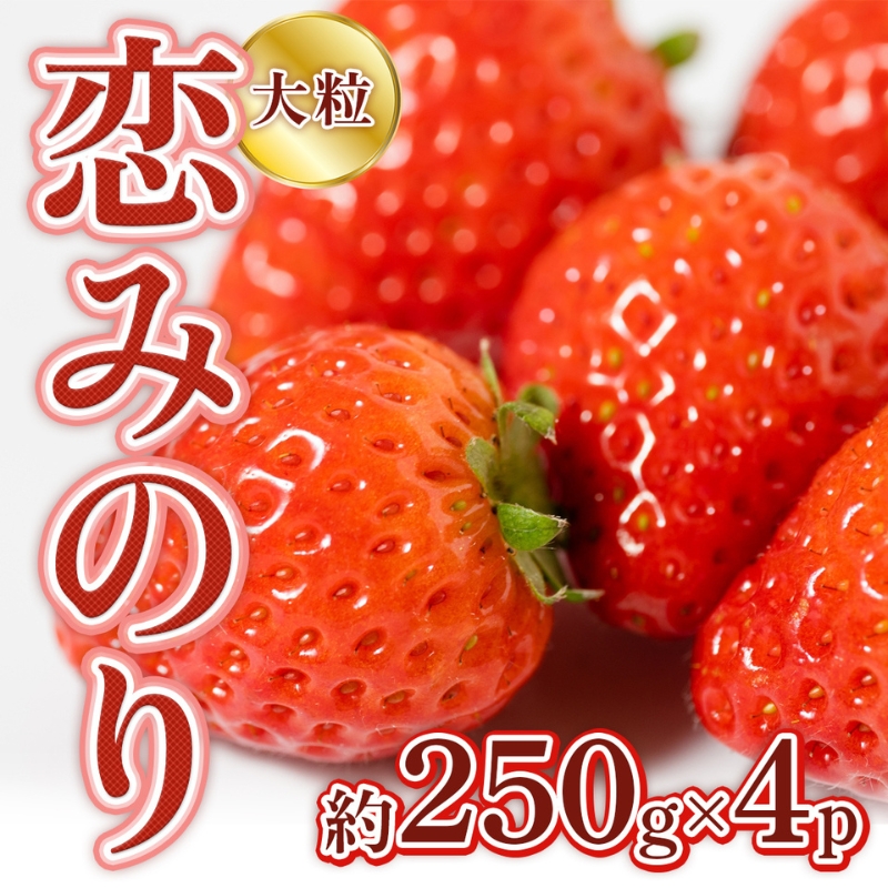 いちご 先行予約 約250g×4P 3Lサイズ 錦町産 恋みのり 苺 イチゴ  デザート フルーツ 2025年1月上旬より順次発送 配送不可:離島