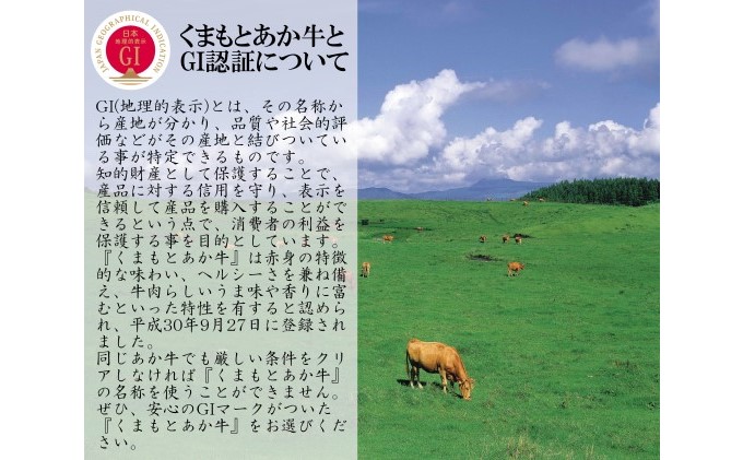 焼肉セット 炭火 牛肉 あか牛 600g 熊本県産 GI認証取得 くまもと 赤牛 熊本 和牛 肥後 焼き肉用 切り落とし 配送不可:離島 お肉 