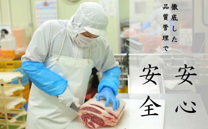 焼肉セット 炭火 牛肉 あか牛 600g 熊本県産 GI認証取得 くまもと 赤牛 熊本 和牛 肥後 焼き肉用 切り落とし 配送不可:離島 お肉 
