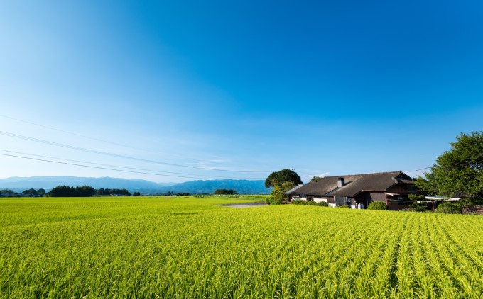 本格石釜焼き冷凍Pizza（冷凍）5枚セット【配送不可：離島】 惣菜パン 