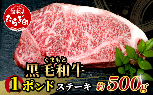 【年内お届け】くまもと黒毛和牛 1ポンド ステーキ 約500g※12月18日～28日発送※  黒毛 和牛 1 pound ステーキ 500g ブランド牛 上質 常備 冷凍 熊本県  年内発送 年内配送 クリスマス