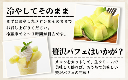 【2026年5月上旬発送開始】熊本県産 アンデスメロン 2玉 計約約2.5kg以上 【 アンデス メロン フルーツ 果物 くだもの 熊本県 多良木町 】 083-0697