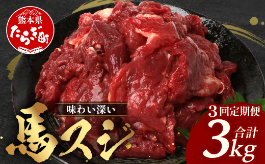 【 定期便 3回 】 熊本県 馬スジ 1kg（ 500g×2 ） × 3回 【 合計 3kg 】 【 馬肉 すじ肉 大容量 本場 熊本県 馬 赤身 煮込み カレー シチュー 冷凍 真空 熊本 肥育 ヘルシー 赤身 肉 高栄養 肉 】 041-0158