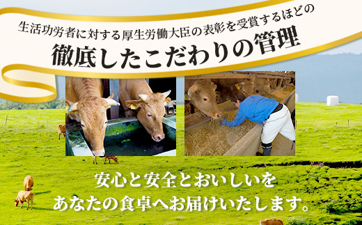 くまもとあか牛ロースセット 《 ステーキ400g(200g×2枚)・しゃぶしゃぶ用500g》計900g 熊本県 ブランド牛 肉 ヘルシー 赤身 牛肉