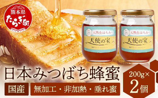 日本みつばち 蜂蜜「天使の宝」2個 セット 【 希少 ニホンミツバチ 100％ はちみつ 高純度 高濃度 垂れ蜜 ハチミツ ジャム 無添加 】094-0003