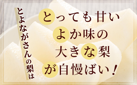 先行予約【2024年5月下旬〜発送分】 熊本県産 梨 約3kg  幸水 新高 新興 豊水 秋月 秋麗 果物 熊本県産 フルーツ 甘い ジューシー 070-0593