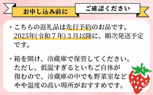 【2025年3月～発送開始】先行予約 熊本県産 いちご ゆうべに 2箱 (250g×8パック) イチゴ 果物 フルーツ 熊本県 多良木町 農園直送 107-0502