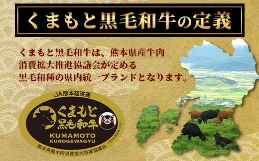 【年内お届け】くまもと黒毛和牛 1ポンド ステーキ 約500g※12月18日～28日発送※  黒毛 和牛 1 pound ステーキ 500g ブランド牛 上質 常備 冷凍 熊本県  年内発送 年内配送 クリスマス