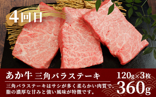 【定期便 6回】あか牛 ステーキ 食べ比べ！ 6回配送 ステーキ 定期便 熊本県産 ≪ サーロイン ミスジ ランプ 三角バラ ヒレ リブ ロース ≫ ステーキ 和牛 あか牛 牛肉 赤身 肉 定期 和牛 国産 ご褒美 定期便 6カ月 046-0676