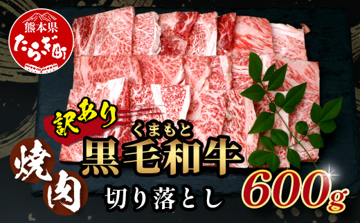 【定期便3回】《 訳あり 》くまもと 黒毛和牛 焼肉 切り落とし 600g×3回 黒毛 和牛 ブランド 牛 肉 焼き肉 訳アリ 113-0518