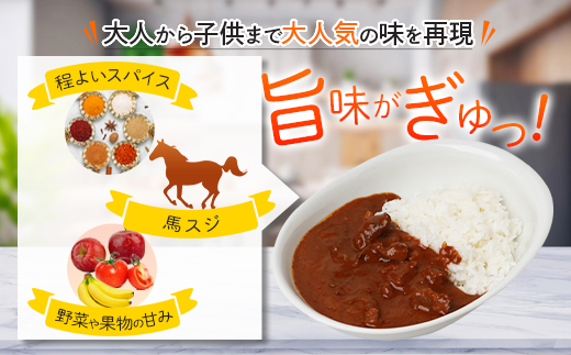 馬スジのカレー 10食 セット 合計2.1kg 【カレー レトルト レトルトカレー 馬すじ 馬スジ 馬 すじ スジ 時短 人気 熊本県 多良木町】 031-0423