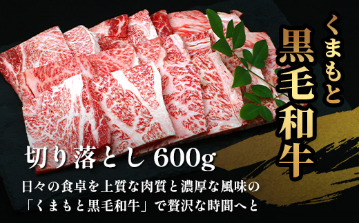 【定期便3回】《 訳あり 》くまもと 黒毛和牛 焼肉 切り落とし 600g ×3回 お届け 本場 熊本県 黒毛 和牛 ブランド 牛 肉 焼き肉 やきにく 上質 くまもと 訳アリ 113-0518