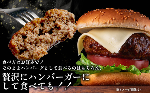 【定期便2回】 人気 ハンバーグ 食べ比べ 定期便 B <自家製豆腐 ハンバーグ ／ くまもと黒毛和牛 生ハンバーグ> 【合計3kg】 バラエティ 定期便 豆腐 牛肉 肉 熊本県産 092-0025