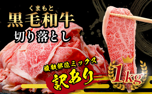 《R7.2・3月発送 限定 増量 》 くまもと黒毛和牛 切り落とし 1kg + DREAMバーグ 150g×3個 【合計1450g】 切り落とし 1キロ + 牛肉 100％ 国産 生 ハンバーグ ブランド牛 上質 和牛 霜降り お得 限定品 惣菜 冷凍 熊本県 113-0530