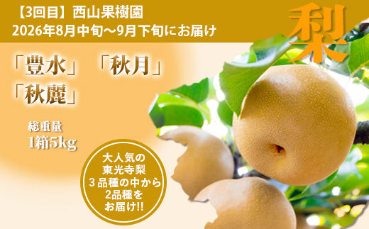 【フルーツ定期便3回】2026年発送 いちご・メロン・梨【各 2品種】食べ比べ 3回配送 数量限定 多良木町産 東光寺梨 西山果樹園 木村メロン園 坂下農園 イチゴフルーツ 果物 名産 熊本 多良木町 旬