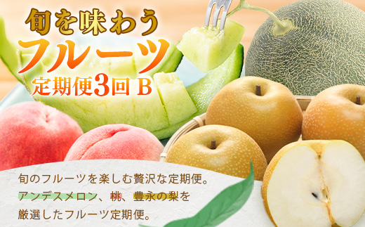 ããã«ãŒã å®æäŸ¿ 3åBã2026幎çºéå ã¢ã³ãã¹ã¡ãã³ã»æ¡ã»æ¢š 3åé
é æ¬ ãã«ãŒã å®æäŸ¿ æ°ééå® ã¡ãã³ çç£šã®æ¡ è±æ°žã®æ¢š æç© åç£ çæ¬ å€è¯æšçº 092-0508