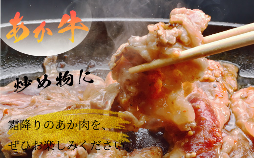 GI認証 【 くまもとあか牛 】特選 すき焼き用 500g あか牛 和牛 牛肉 熊本 ブランド牛 すきやき すき焼 スキヤキ 肉じゃが ごちそう 記念日 国産 お肉 050-0350