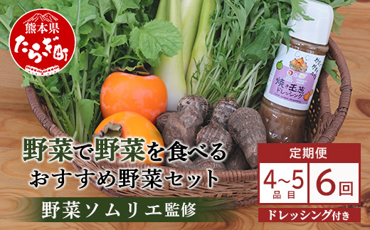 【定期便 6回】野菜ソムリエ 監修 旬の おすすめ 野菜＆野菜で野菜を食べる ドレッシング 定期便 (4〜6種類) 野菜 獲れたて 直送 旬 新鮮 セット 詰め合わせ 詰合せ 定期便 産地 直送 国産 旬 野菜 ひとり暮らし 夫婦 熊本県 多良木町 ドレッシング 024-0807