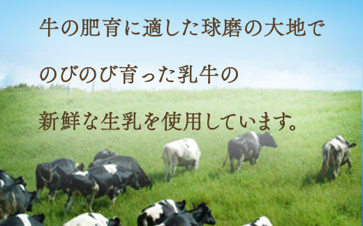 球磨の恵み のむヨーグルト 詰め合わせセット 450g各2本 150g各6本 合計16本【加糖・砂糖不使用】新鮮 生乳使用 加糖ヨーグルト 砂糖不使用 プレーンヨーグルト 飲むヨーグルト 】074-0447