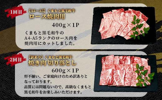 【定期便6回】くまもと黒毛和牛 味わい定期便～合計 3kg 《 黒毛 和牛 ロース 焼き肉 すき焼き 切り落とし 赤身 スライス 和王 》 肉 すき焼き 焼肉 霜降り 上質 ブランド牛 国産 牛肉 冷凍 熊本県 113-0521