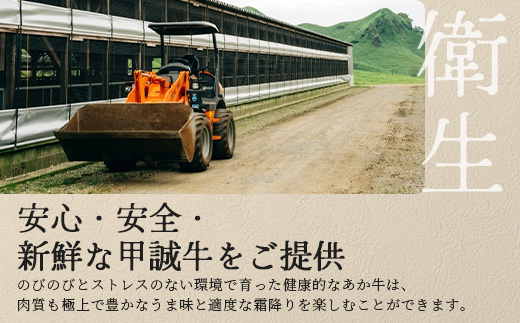 【年内お届け】熊本県産 あか牛 【 サーロイン ステーキ 200g×3枚 計600g 】※12月18日～28日発送※ 本場 熊本 あか牛 牛肉 サーロイン ステーキ 年内発送 年内配送 クリスマス