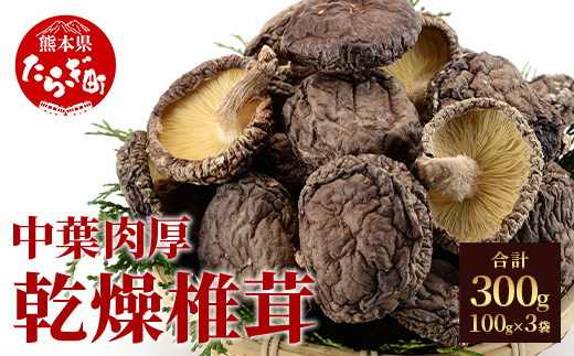 ＜農林水産大臣賞＞槻木産 中葉厚肉 乾燥椎茸 計300g ＜ 100g×3袋セット ＞しいたけ 熊本県 多良木町 原木 シイタケ 026-0573