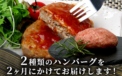 【定期便2回】 人気 ハンバーグ 食べ比べ 定期便 C レンチン ハンバーグ 4種のソース ／ くまもと黒毛和牛 生ハンバーグ バラエティ 定期便 豆腐 牛肉 肉 熊本県産 092-0026
