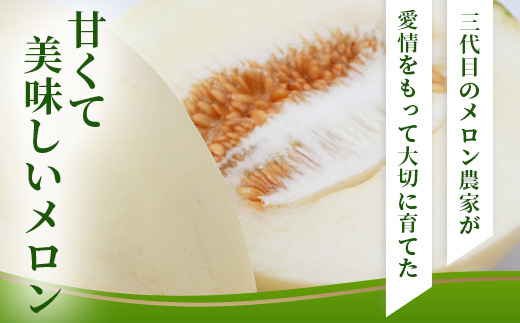 【2026年5月上旬発送開始】熊本県産 ホームランメロン 2玉  約2.5kg以上 【 ホームラン メロン フルーツ 果物 くだもの 熊本県 多良木町 】 083-0699