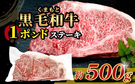 くまもと黒毛和牛 1ポンド ステーキ 約500g《 黒毛 和牛 1 pound ステーキ 500g ブランド牛 上質 常備 冷凍 熊本県 》113-0512