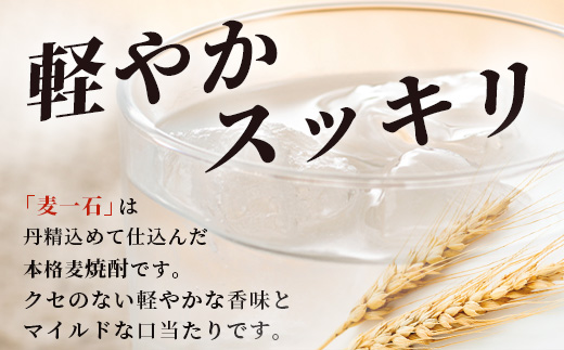 【年内お届け】 球磨焼酎【麦一石】4L×4本 エコペット 25度 計16L 麦焼酎 蔵元直送 ※12月18日～28日発送※ 年内発送 年内配送 クリスマス 040-0588-R612