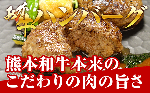 あか牛 100％ ハンバーグ 120g×6個 あか牛のたれ200ml セット 【 ハンバーグ あか牛 牛肉 肉 熊本産 国産牛 和牛 旨味 うま味 ぎっしり 熊本県 多良木町 牛肉 タレ付 】046-0455