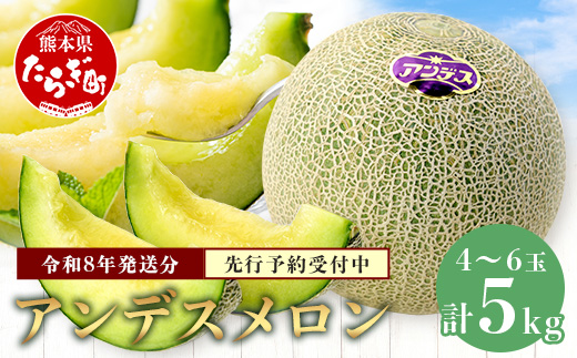 【2026年4月下旬～発送分】先行予約 アンデスメロン 4玉〜6玉（1箱5kg）熊本県 多良木町産 果物 フルーツ メロン 先行予約 5kg 青肉 期間限定 数量限定 012-0556