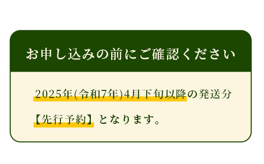 【2025年5月上旬より発送開始】 熊本県産 アンデスメロン 約5kg 4玉 【 メロン 果物 くだもの フルーツ 甘い 】 089-0688