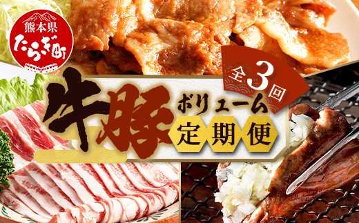 【定期便3回】牛・豚 ボリューム定期便 豚肉 計2.5kg ／ 訳あり 牛タン 計1kg ／ 豚肉 計3kg【 定期便 年3回 肉 豚肉 スライス 牛タン 厚切り牛タン 訳あり 不揃い 冷凍 小分け 】092-0004