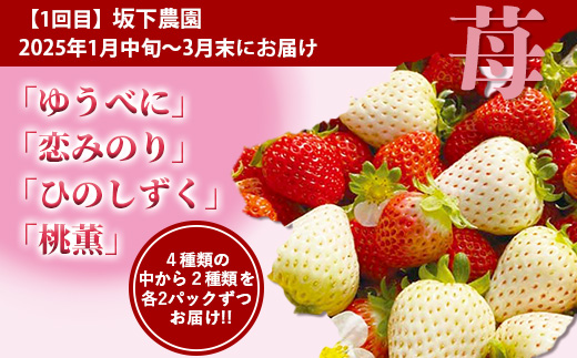 【フルーツ 定期便 3回】2025年発送 多良木町産 いちご・メロン・梨 各2種 食べ比べ 3回配送 数量限定 東光寺梨 西山果樹園 木村メロン園 坂下農園 イチゴフルーツ 果物 名産 熊本 多良木町 旬