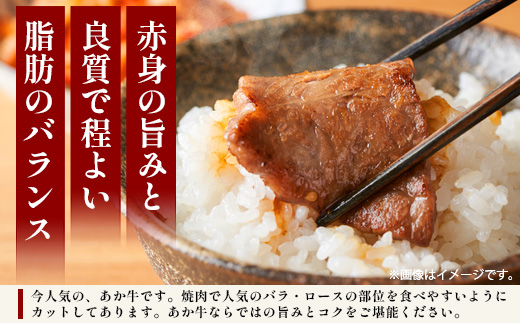 【 定期便 6回 】 熊本あか牛 焼肉用カット ( バラ ・ ロース ) 500g × 6回 【 合計 3kg 】 国産 牛肉 冷凍 熊本 熊本県産 あか牛 赤牛 切り落とし 041-0153