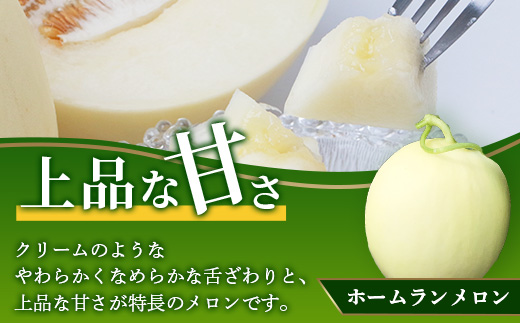 【2025年4月中旬発送開始】【先行予約】熊本県産 ホームランメロン アンデスメロン 食べ比べ 計5玉 約5kg【 先行 御予約 予約 ご予約 熊本 くまもと メロン フルーツ 】083-0624