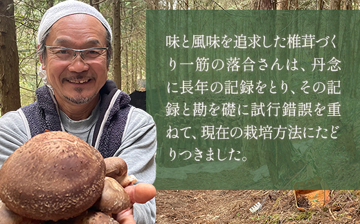 シ懆セイ譫玲ーエ逕」螟ァ閾」雉橸シ槫、夊憶譛ィ逕コ 讒サ譛ィ逕」 雍育ュ皮畑 螟ァ闡牙字閧 荵セ辯・讀手減 205g 縺励>縺溘¢ 辭頑悽逵 螟夊憶譛ィ逕コ 蜴滓惠 繧キ繧、繧ソ繧ア 026-0025