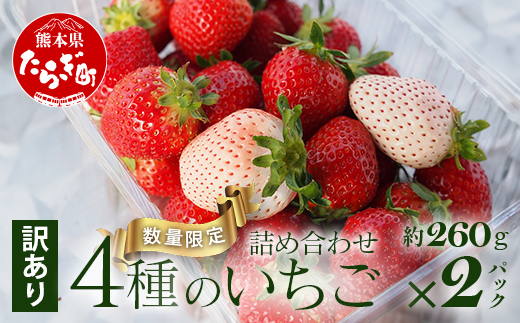 【訳あり】熊本県産 いちご 詰め合わせ 約260g×2パック 産地直送 国産 新鮮 フレッシュ 果物 苺 イチゴ 103-0009