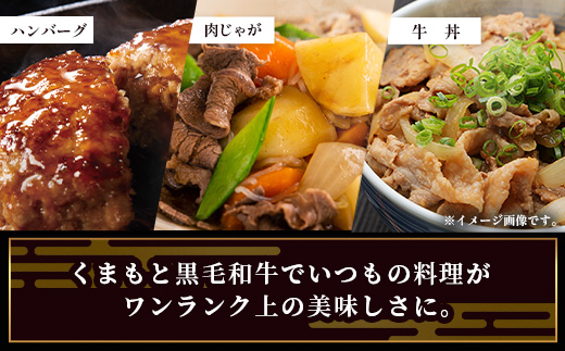 《R7.2・3月発送 限定 増量 》 くまもと黒毛和牛 切り落とし 1kg + DREAMバーグ 150g×3個 【合計1450g】 切り落とし 1キロ + 牛肉 100％ 国産 生 ハンバーグ ブランド牛 上質 和牛 霜降り お得 限定品 惣菜 冷凍 熊本県 113-0530