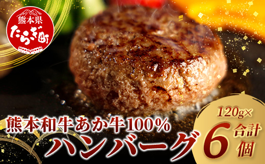 あか牛 100％ ハンバーグ セット 120g×6個 NEWパッケージ 甲誠牛BOX 【 ハンバーグ あか牛 牛肉 肉 熊本産 ギフト 贈り物 贈答 和牛 旨味 うま味 ぎっしり 熊本県 多良木町 牛肉 】046-0645