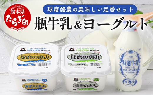 球磨酪農“おいしい定番”セット (瓶 牛乳 & ヨーグルト加糖・砂糖不使用) 牛乳 生乳 ヨーグルト  074-0463