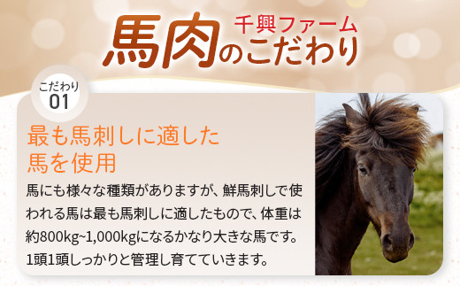 【馬刺し】 馬肉 バラエティー 6種 セット 約1.02kg ＜ 赤身切り落とし / コウネ / ネギトロ / ユッケ / フタエゴ / ハンバーグ / タレ付き ＞ 熊本 国産 031-0491