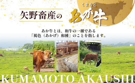 くまもとあか牛 すき焼き・しゃぶしゃぶ用 計500g すき焼き しゃぶしゃぶ 熊本県 ブランド牛 あか牛 肉 ヘルシー 赤身 牛肉 スライス ごちそう