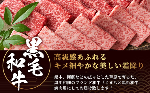 【 A4〜 A5 等級 】くまもと黒毛和牛 焼肉用 500ｇ【 ブランド 牛肉 肉 やき肉 焼き肉 バラ ロース モモ 和牛 国産 熊本県 上級 上質 】