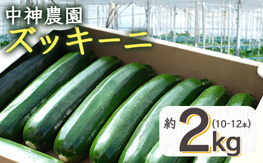 【産地直送】中神農園の ズッキーニ 約2kg (10〜12本) 期間限定：11月上旬〜5月下旬発送 野菜 夏 やさい 煮る 炒める 生食 ミネラル ビタミンC ずっきーに 新鮮 甘み 酸味 用途多様 国産 九州 熊本県 多良木町 送料無料 071-0506