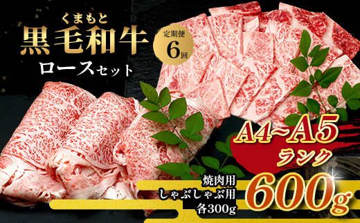 【定期便6回】A4・A5 くまもと黒毛和牛 ロース セット 計600g ( すき焼き / 焼肉 各300g )×6回配送 本場 熊本県 ブランド 牛 黒毛 和牛 厳選 A4 等級以上 肉 上質 熊本県 113-0515