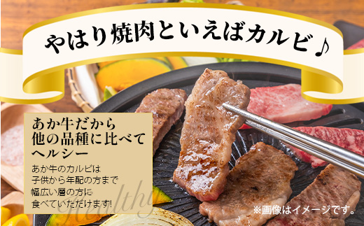 くまもとあか牛 カルビ焼肉用 徳用 500g×2パック 計1kg あか牛 カルビ 焼き肉 焼肉 牛肉 ブランド牛 ヘルシー 健康