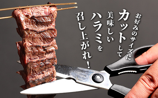 【 厚切り 】牛 ハラミステーキ【1㎏】500ｇ×2 焼肉 ハラミ 焼き肉 はらみ 塩味 牛肉 肉 冷凍 小分け パック キャンプ バーベキュー 067-0671